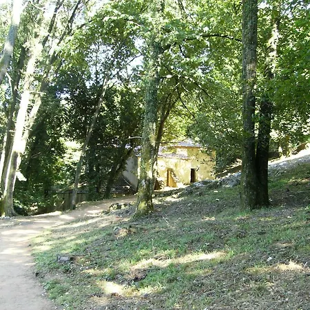 Casa Do Avo In Montejunto Landhaus *